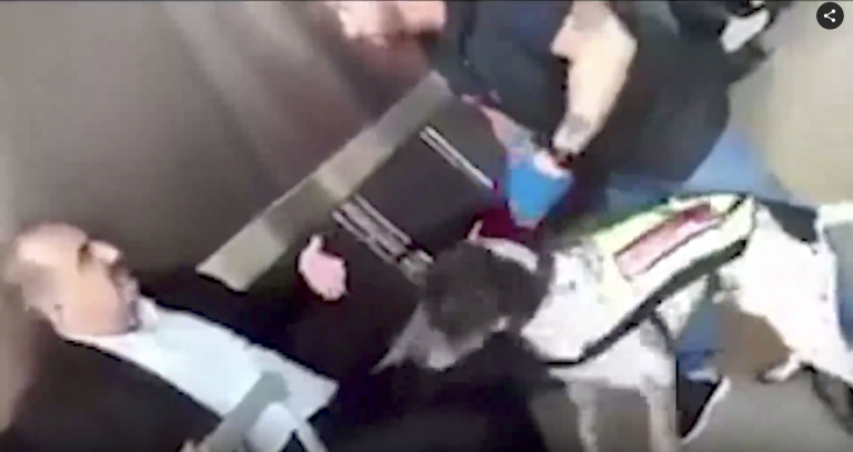 TKG: Hund-Einsatz am Wiener Flughafen gegen Türken ist menschenunwürdig